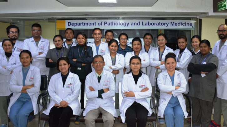 About the Department